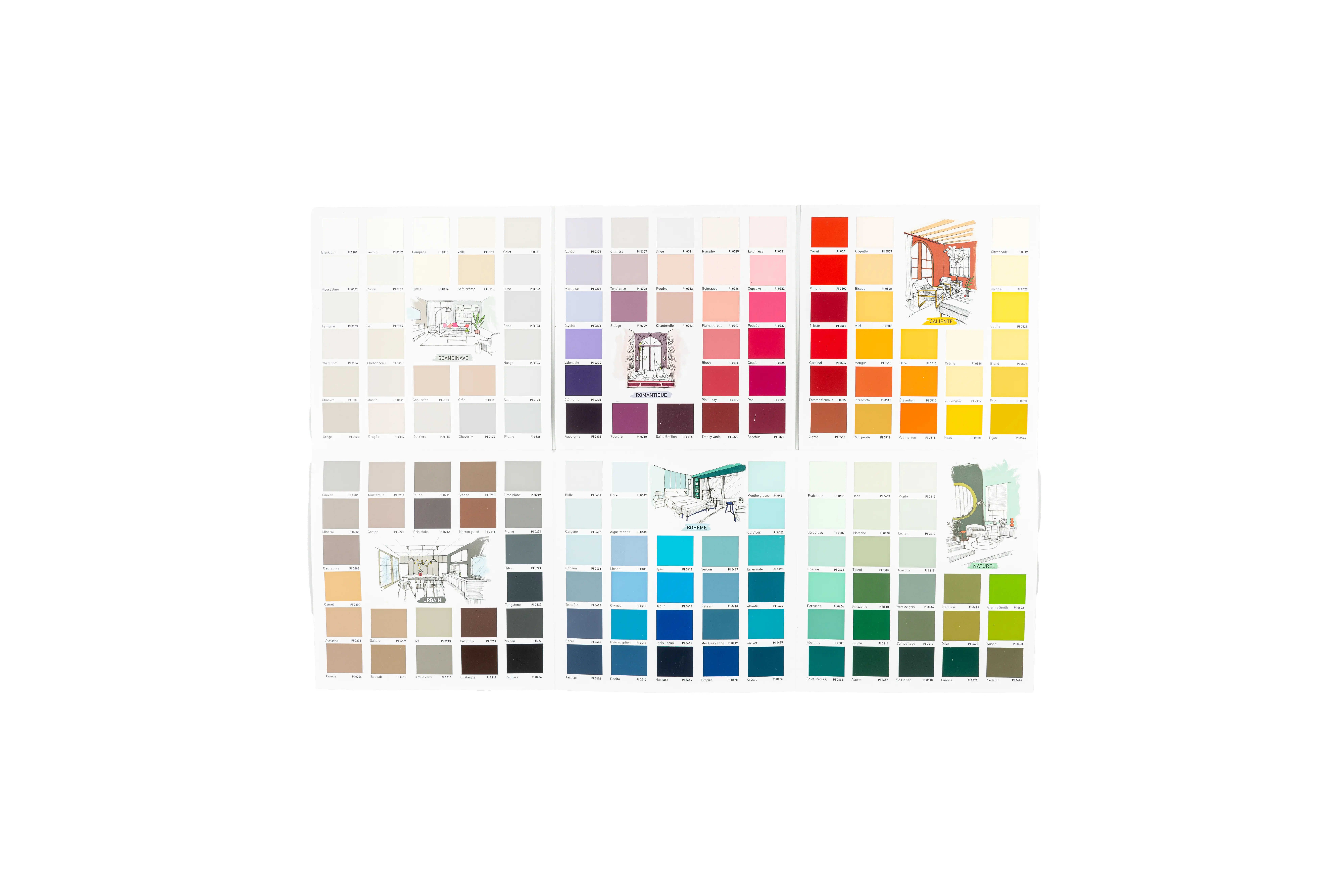 color-card-6